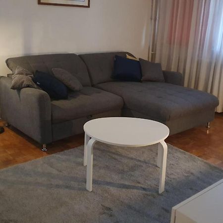 Apartment Sretni Dimnjacar オシエク エクステリア 写真